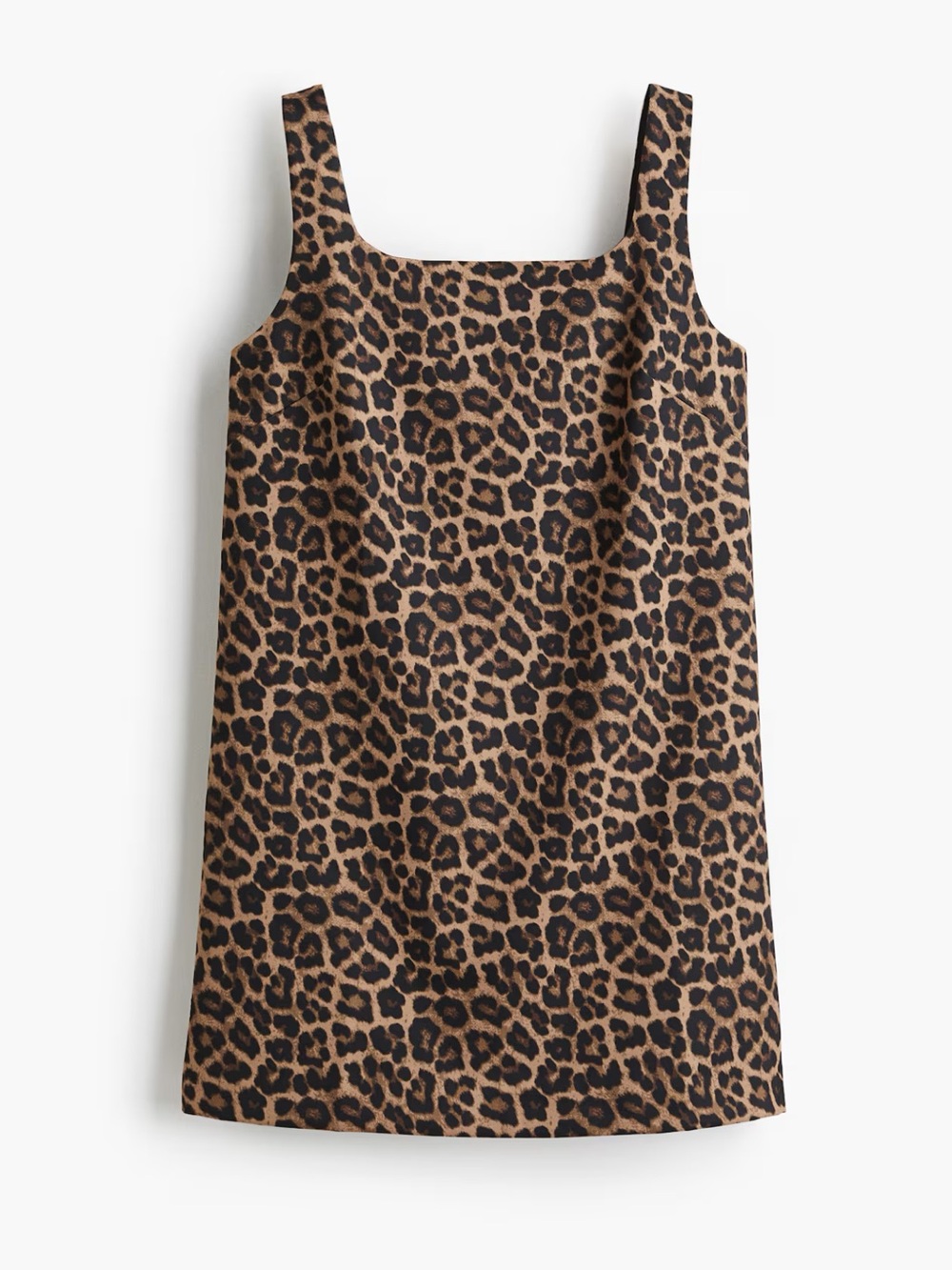 H&M Leopard Print Dress